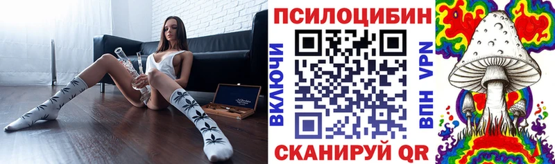 Купить где  Барнаул  Галлюциногенные грибы Psilocybe 